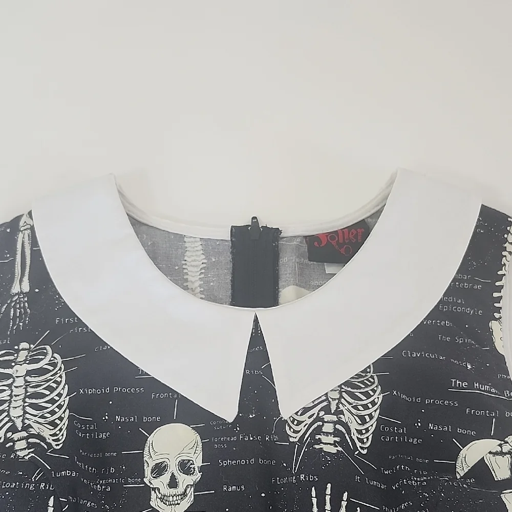 Modcloth Rad To The Bone Retro A-line Dress - Picture 6 of 10